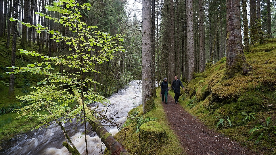 a man and a woman walk along rapids in the forest