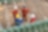 Employees in forest
