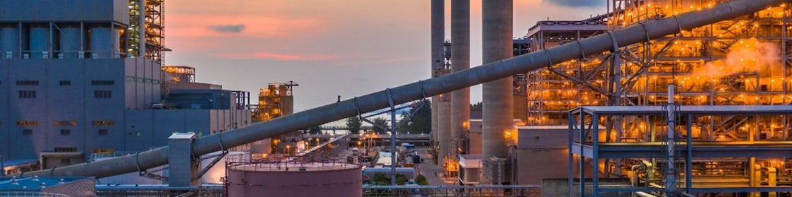 Picture of Shell Plant