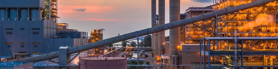 Picture of Shell Plant