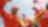 A group of Shell employees celebrating