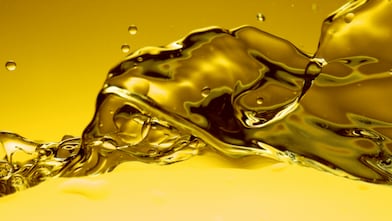 Oils & Lubricants