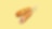 Corn Dog