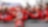 The Ducati team celebrates Danilo's podium in France