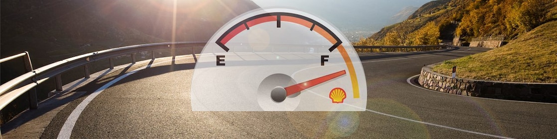 Fuel gauge