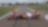 SHELL AND SCUDERIA FERRARI