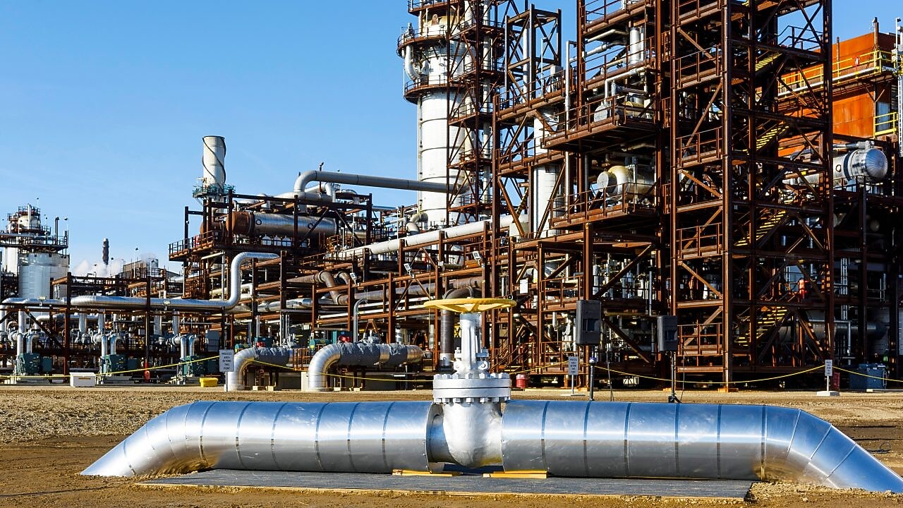 what we do: at a glance