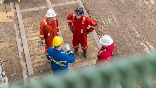 Employees in forest