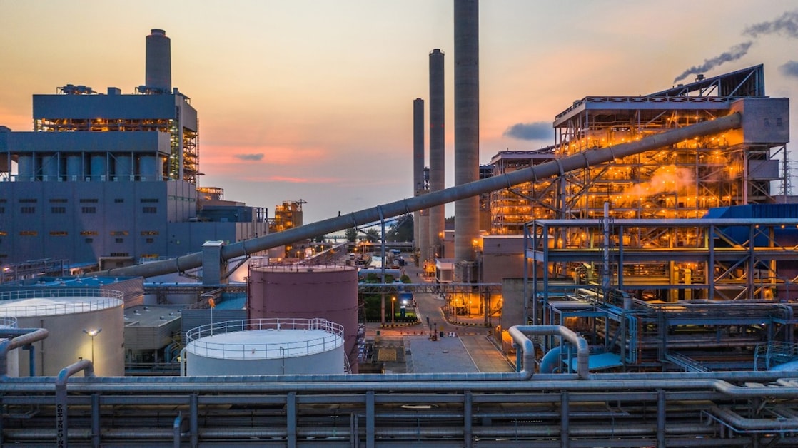 Picture of Shell Plant
