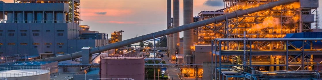 Picture of Shell Plant