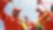 Un groupe d’employés de Shell faisant la fête