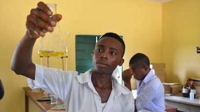 Programmes STIM au Nigeria