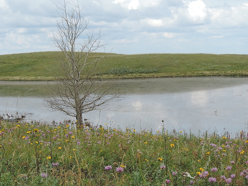 buffalo hills lake
