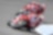 Ducati riders racing near at hand in spain