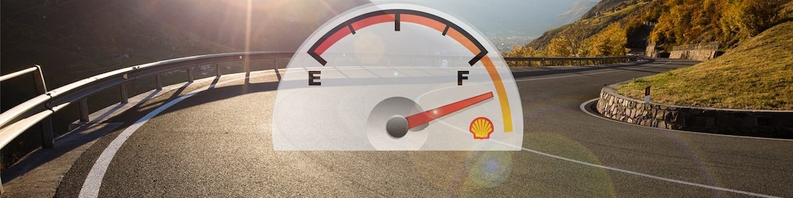 Fuel gauge