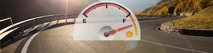 Fuel gauge