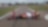 SHELL ET SCUDERIA FERRARI