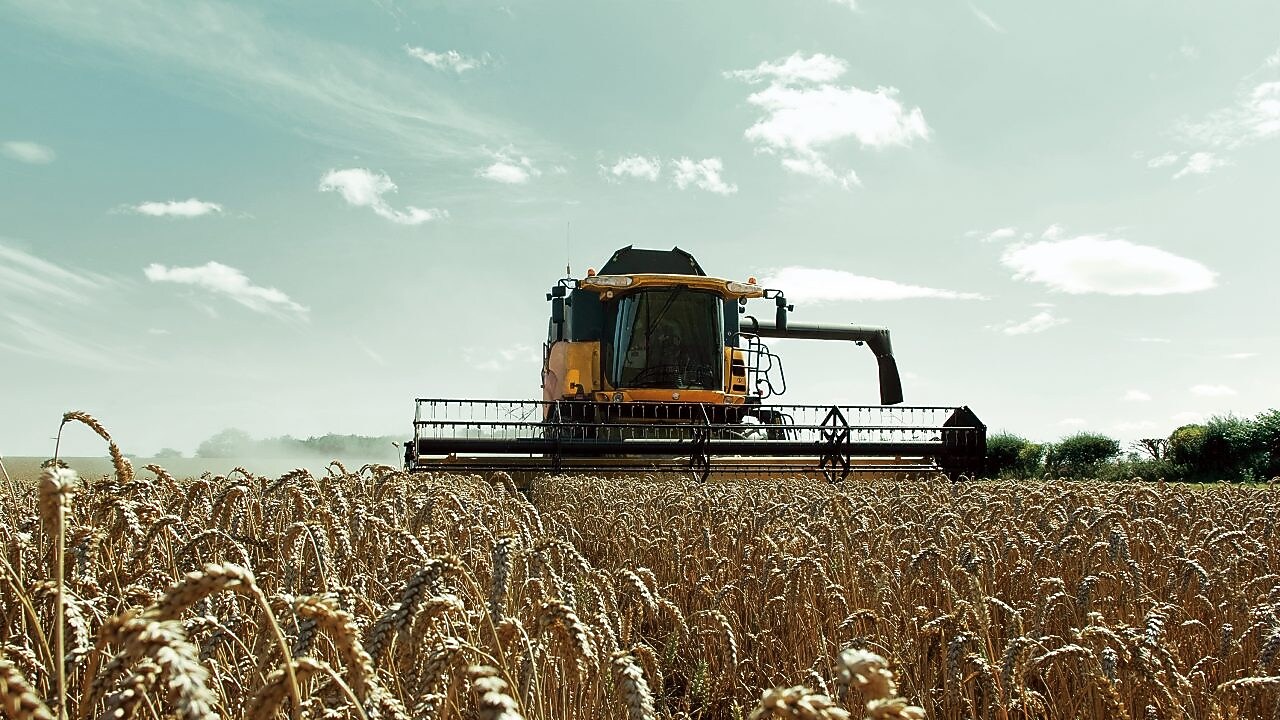 Moissonneuse-batteuse jaune dans un champ de blé