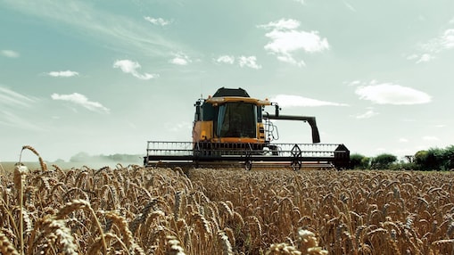 Moissonneuse-batteuse jaune dans un champ de blé