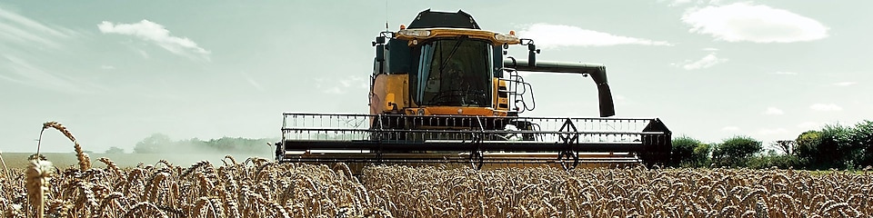 Moissonneuse-batteuse jaune dans un champ de blé