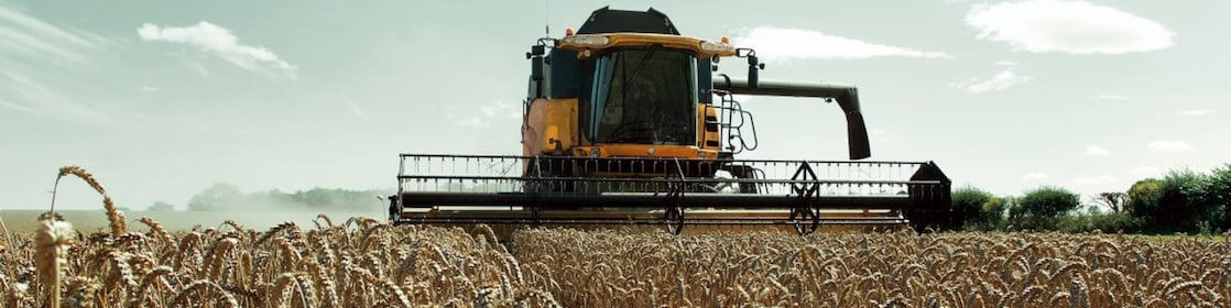 Moissonneuse-batteuse jaune dans un champ de blé
